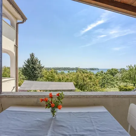 Saladinka Guest house Cervar-Porat