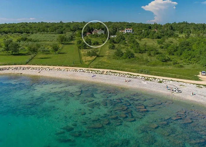 Saladinka Červar-Porat