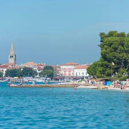 Guest house Saladinka Cervar-Porat