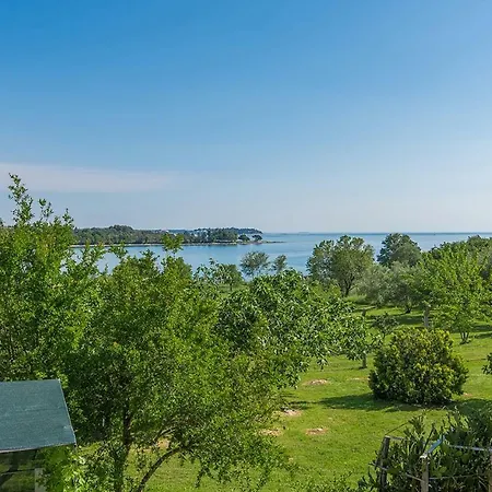 Guest house Saladinka